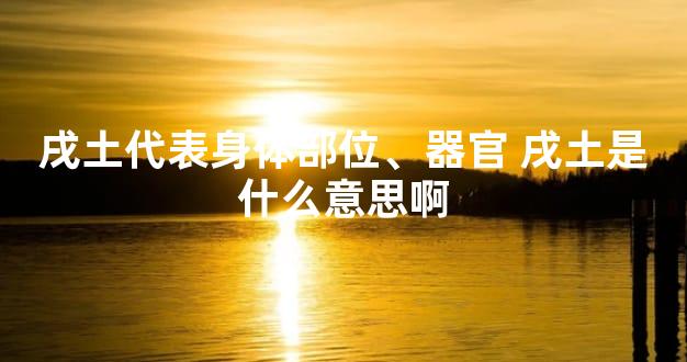 戌土代表身体部位、器官 戌土是什么意思啊